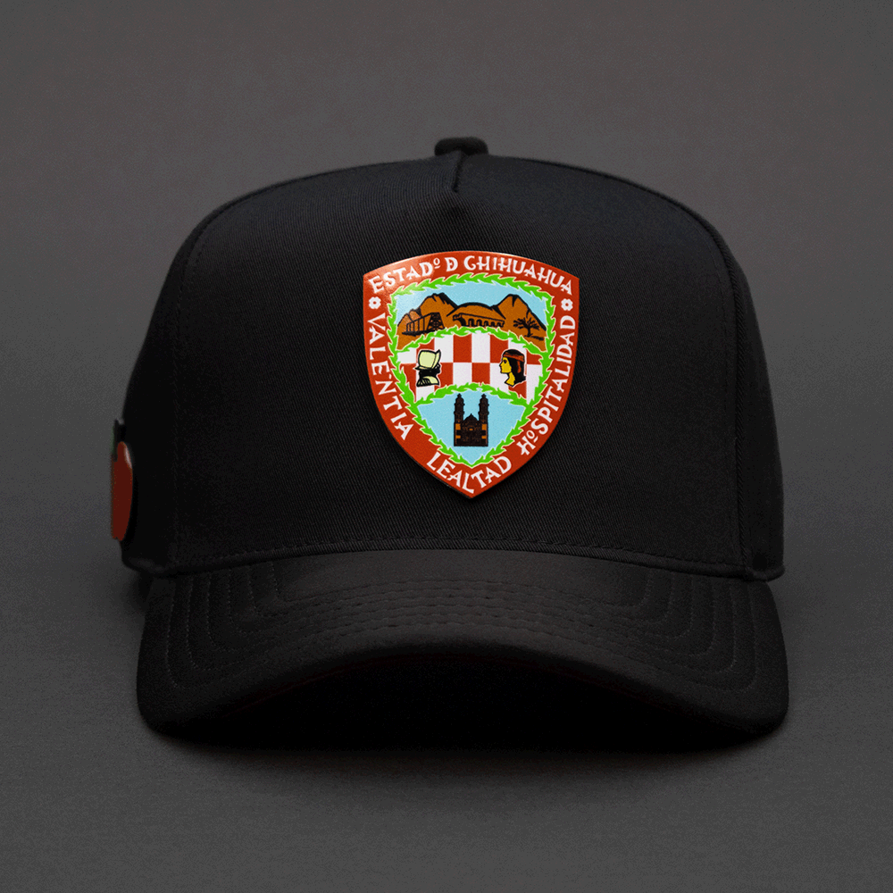 327 ESCUDO DE CHIHUAHUA COLOR