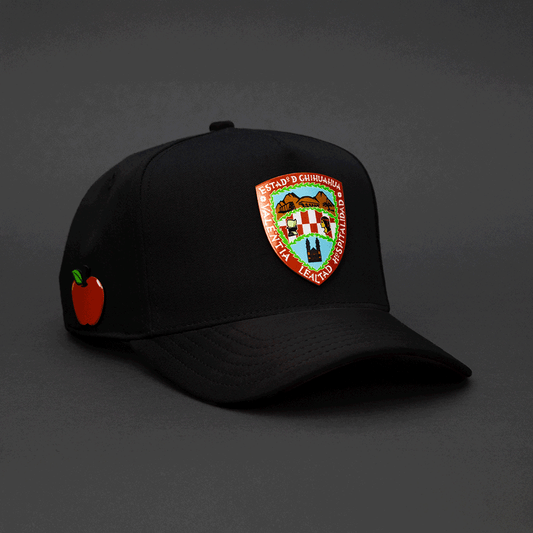 327 ESCUDO DE CHIHUAHUA COLOR