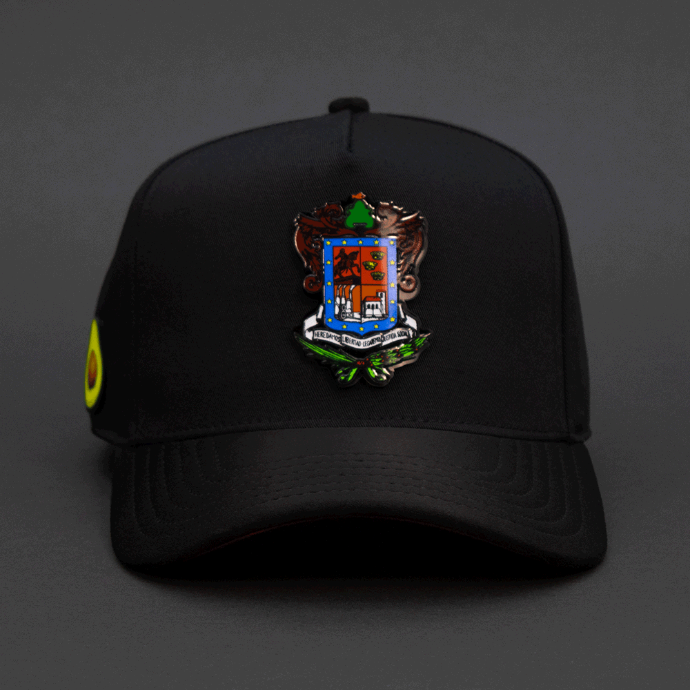 327 ESCUDO DE MICHOACAN COLOR