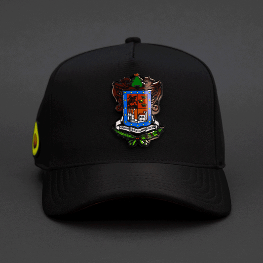 327 ESCUDO DE MICHOACAN COLOR