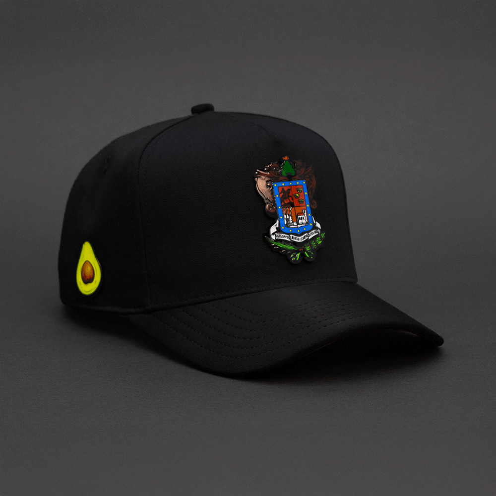 327 ESCUDO DE MICHOACAN COLOR