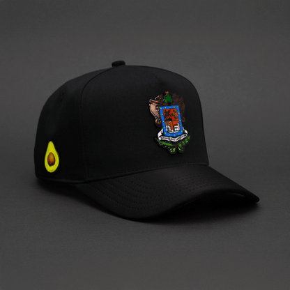327 ESCUDO DE MICHOACAN COLOR