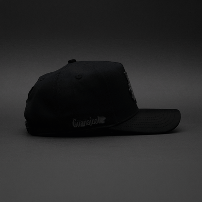 327 GUANAJUATO