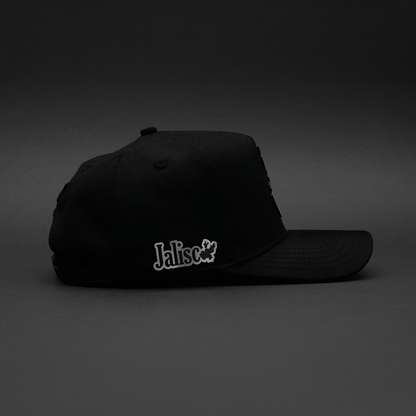327 JALISCO