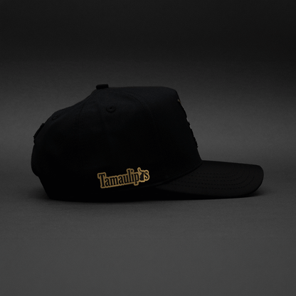 327 TAMAULIPAS