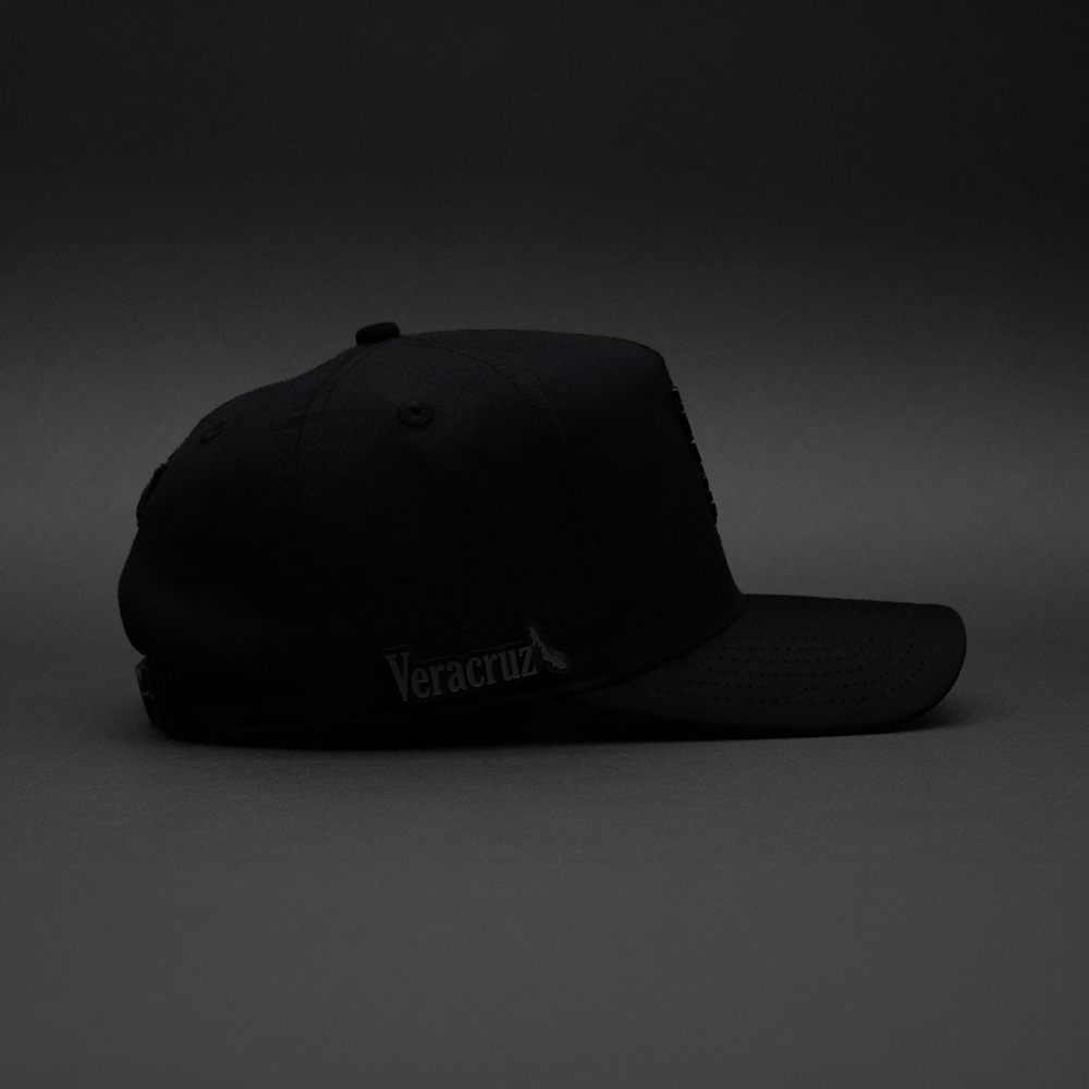 327 VERACRUZ